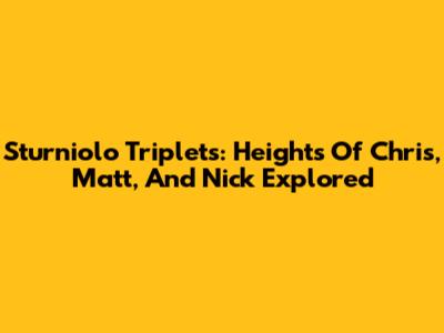 Sturniolo Triplets: Heights Of Chris, Matt, And Nick Explored