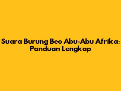 Suara Burung Beo Abu-Abu Afrika: Panduan Lengkap