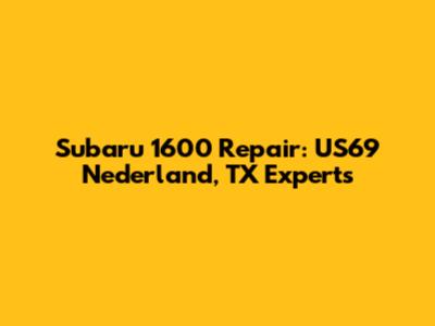 Subaru 1600 Repair: US69 Nederland, TX Experts