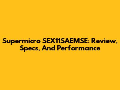 Supermicro SEX11SAEMSE: Review, Specs, And Performance