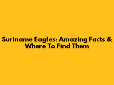 Suriname Eagles: Amazing Facts & Where To Find Them