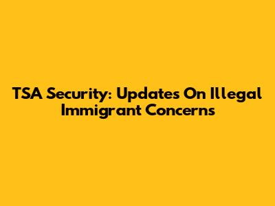 TSA Security: Updates On Illegal Immigrant Concerns