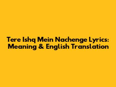 Tere Ishq Mein Nachenge Lyrics: Meaning & English Translation