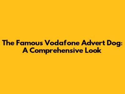 The Famous Vodafone Advert Dog: A Comprehensive Look