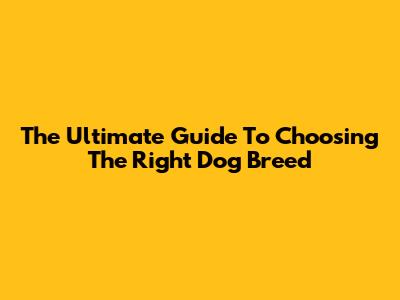 The Ultimate Guide To Choosing The Right Dog Breed
