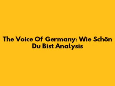 The Voice Of Germany: 'Wie Schön Du Bist' Analysis