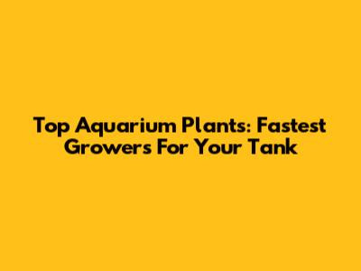 Top Aquarium Plants: Fastest Growers For Your Tank