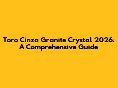 Toro Cinza Granite Crystal 2026: A Comprehensive Guide