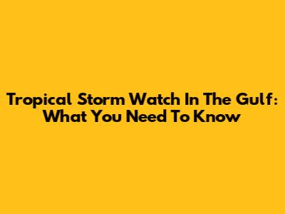 Tropical Storm Watch In The Gulf: What You Need To Know