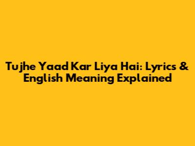 Tujhe Yaad Kar Liya Hai: Lyrics & English Meaning Explained