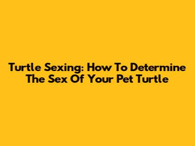 Turtle Sexing: How To Determine The Sex Of Your Pet Turtle