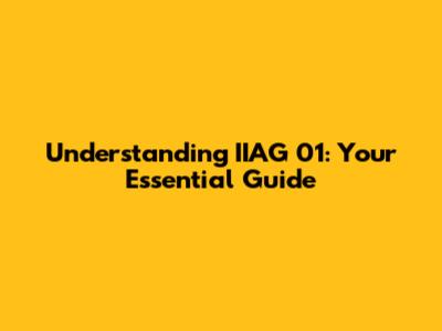 Understanding IIAG 01: Your Essential Guide