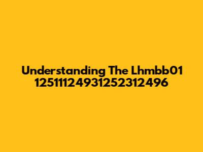 Understanding The Lhmbb01 12511124931252312496