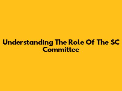 Understanding The Role Of The SC Committee