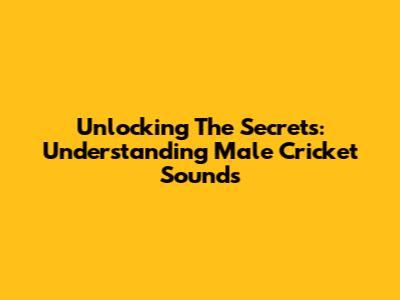 Unlocking The Secrets: Understanding Male Cricket Sounds