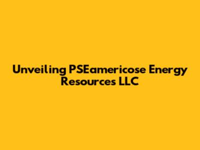 Unveiling PSEamericose Energy Resources LLC