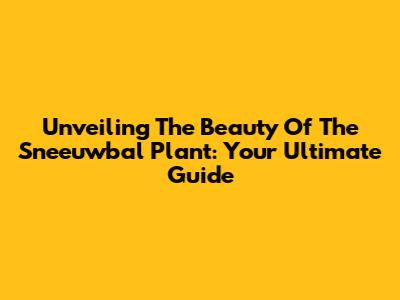Unveiling The Beauty Of The Sneeuwbal Plant: Your Ultimate Guide