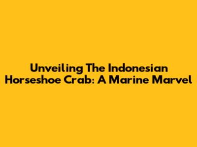 Unveiling The Indonesian Horseshoe Crab: A Marine Marvel