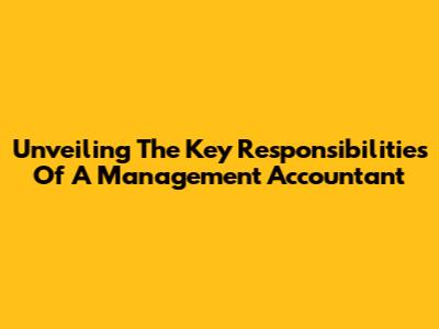 Unveiling The Key Responsibilities Of A Management Accountant