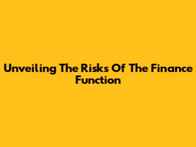 Unveiling The Risks Of The Finance Function