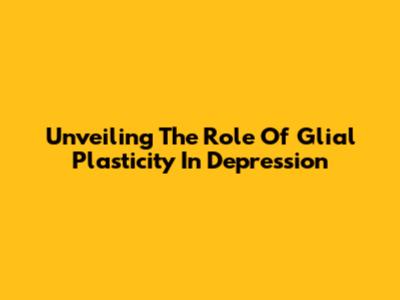 Unveiling The Role Of Glial Plasticity In Depression
