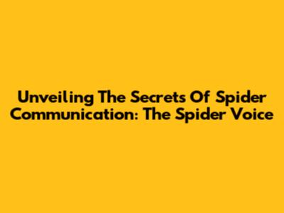 Unveiling The Secrets Of Spider Communication: The Spider Voice