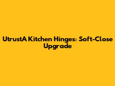 UtrustA Kitchen Hinges: Soft-Close Upgrade