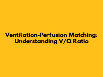 Ventilation-Perfusion Matching: Understanding V/Q Ratio