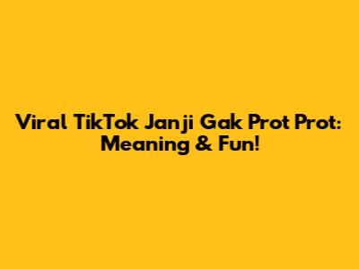 Viral TikTok 'Janji Gak Prot Prot': Meaning & Fun!
