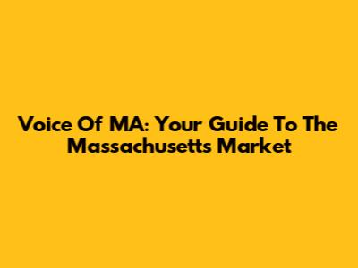 Voice Of MA: Your Guide To The Massachusetts Market