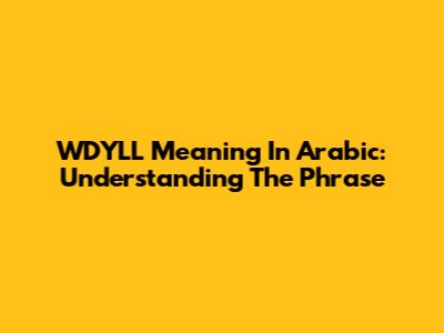 WDYLL Meaning In Arabic: Understanding The Phrase