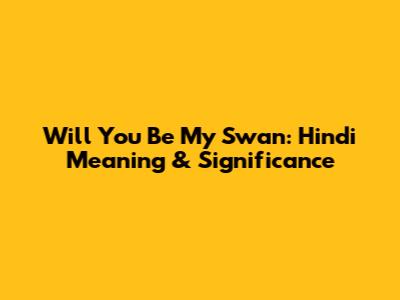 Will You Be My Swan: Hindi Meaning & Significance