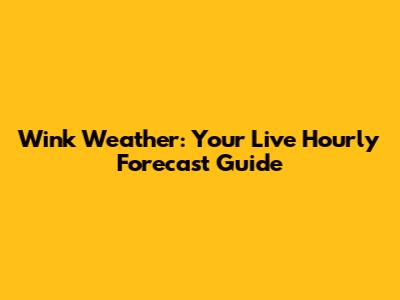 Wink Weather: Your Live Hourly Forecast Guide