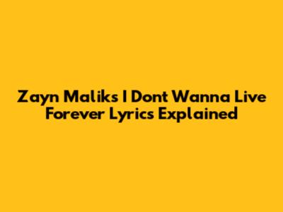Zayn Malik's 'I Don't Wanna Live Forever' Lyrics Explained