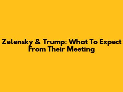 Zelensky & Trump: What To Expect From Their Meeting