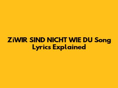 ZiWIR SIND NICHT WIE DU Song Lyrics Explained