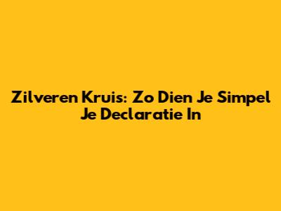 Zilveren Kruis: Zo Dien Je Simpel Je Declaratie In